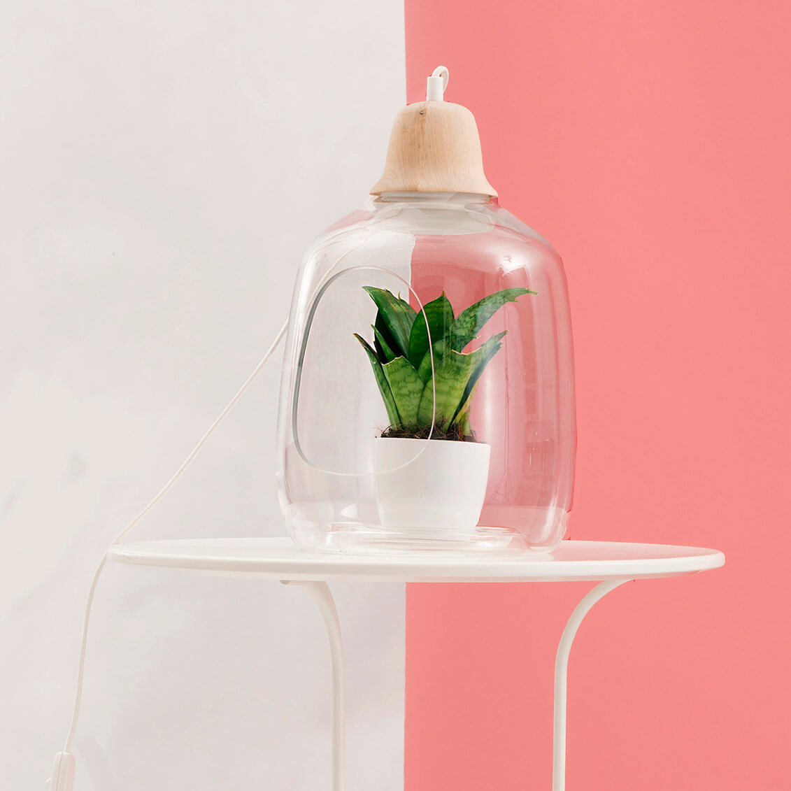 Statement plant pots - modern interiors